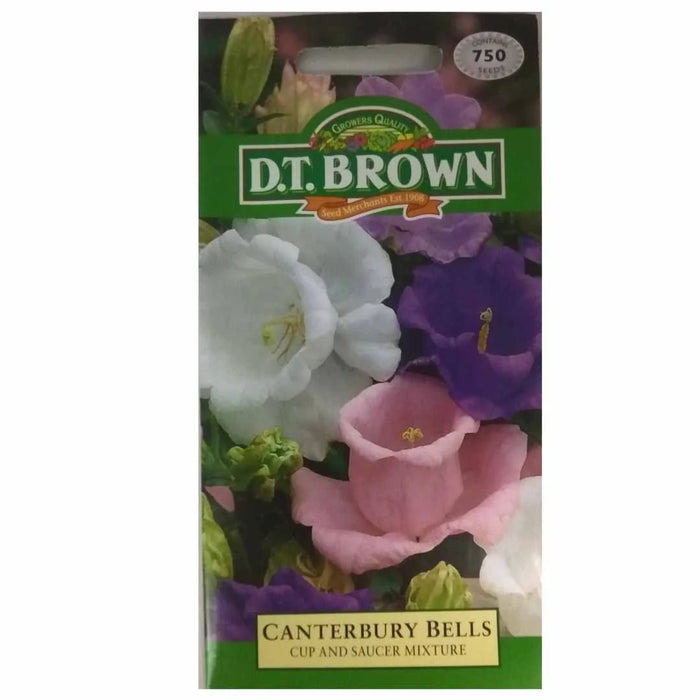 D.T Brown Canterbury Bells Cup and Saucer Mixture