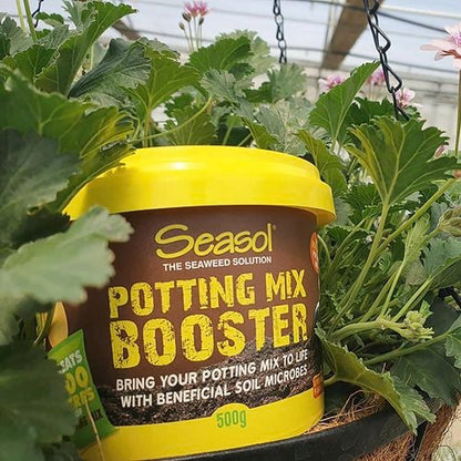 SEASOL 500G POTTING MIX BOOSTER TUB