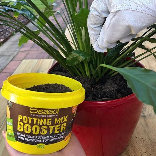SEASOL 500G POTTING MIX BOOSTER TUB