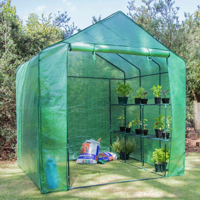 GREENHOUSE SAXON 200X200X220CM LGE WALK