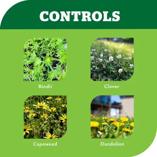 LAWN WEEDKILLER 500ML BINDI & CLOVER