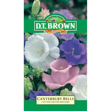 Canterbury Bells Cup & Saucer Flower Seeds