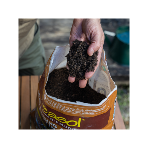 SEASOL 10L SEED RAISING AND CUTTING POTTING MIX